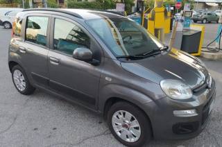 FIAT Panda usata, con Airbag Passeggero