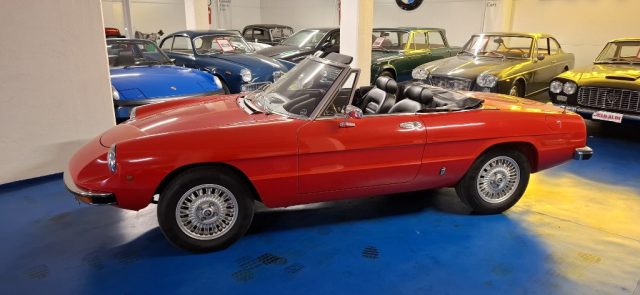 ALFA ROMEO Spider usata 22