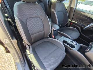 FORD Focus usata 20