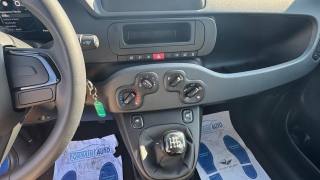 FIAT Pandina usata, con Immobilizzatore elettronico