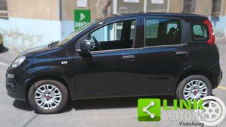 FIAT Panda usata, con Alzacristalli elettrici