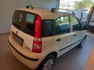 FIAT Panda usata, con Autoradio