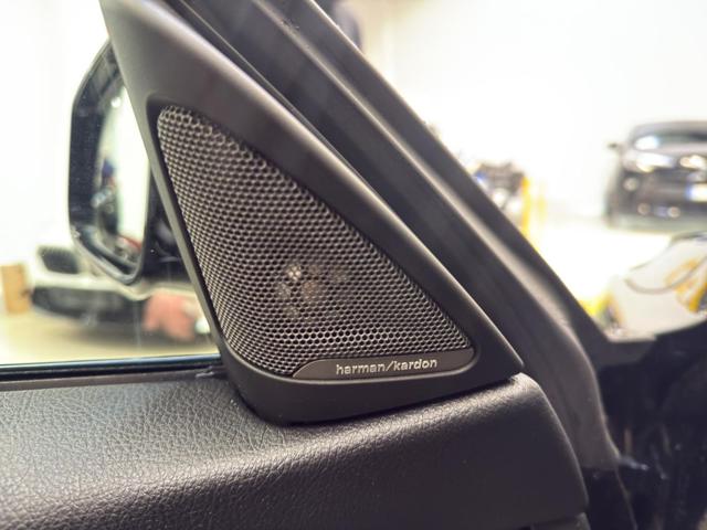 BMW 430 usata, con Fendinebbia