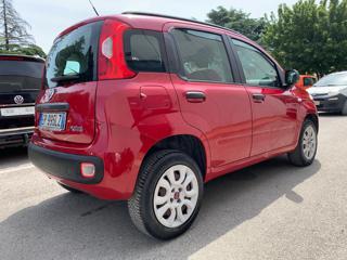 FIAT Panda usata, con Climatizzatore