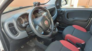 FIAT Panda usata, con Cronologia tagliandi