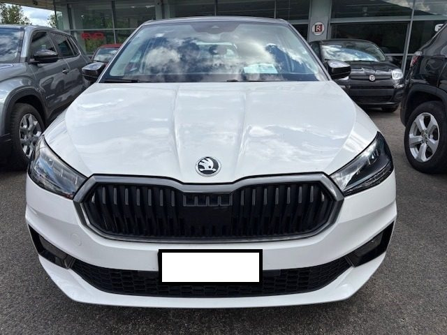 SKODA Fabia usata, con ABS