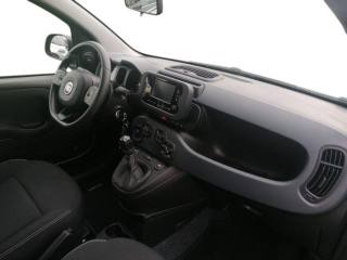 FIAT Panda usata 13