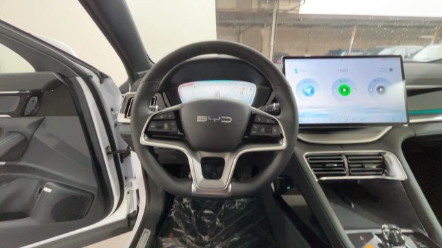 BYD Seal usata, con Bracciolo