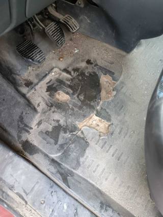 FIAT Scudo usata 27