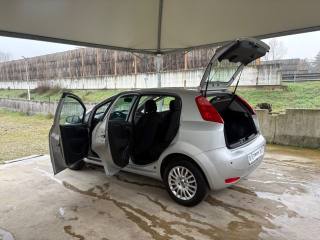 FIAT Punto usata 43