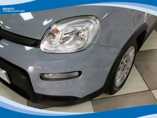 FIAT Panda usata, con Immobilizzatore elettronico
