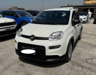 FIAT Panda usata, con Airbag