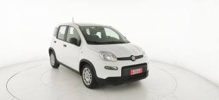 FIAT Panda usata 24