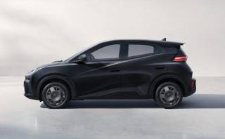 BYD Dolphin Surf usata, con Airbag