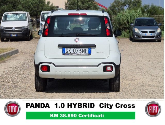 FIAT Panda Cross usata, con Alzacristalli elettrici