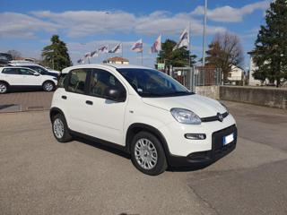 FIAT Panda usata, con Antifurto