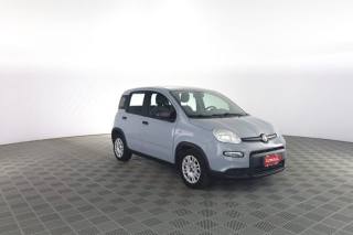 FIAT Panda usata 1