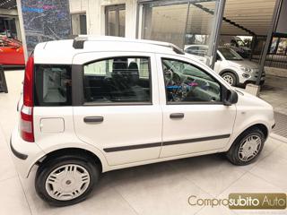 FIAT Panda usata 5