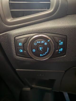 FORD EcoSport usata 15