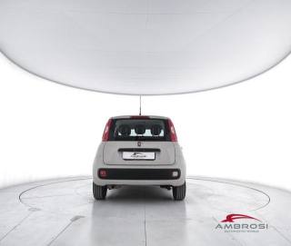 FIAT Panda usata 5