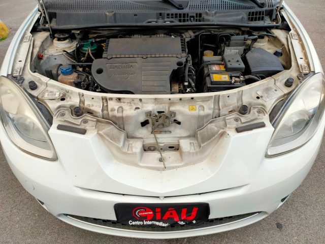 LANCIA Ypsilon usata 14