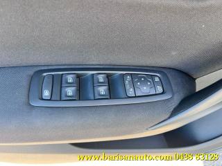 RENAULT Megane usata, con Cruise Control