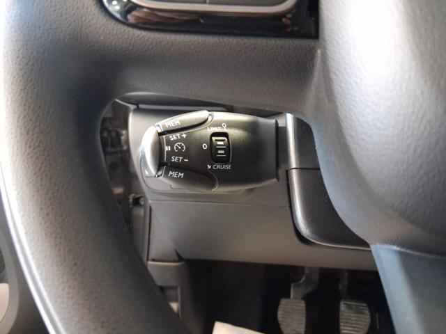 CITROEN C3 usata, con Specchietti laterali elettrici