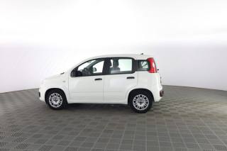 FIAT Panda usata 5
