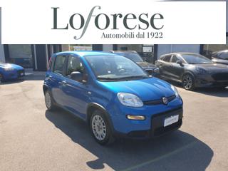 FIAT Panda usata, con Airbag Passeggero