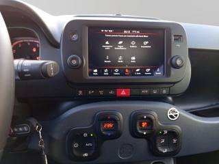 FIAT Panda Cross usata, con Airbag testa