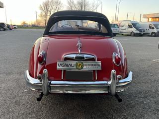 JAGUAR XK usata 4