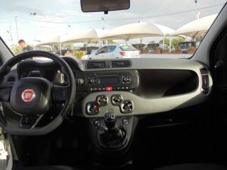 FIAT Panda usata 19
