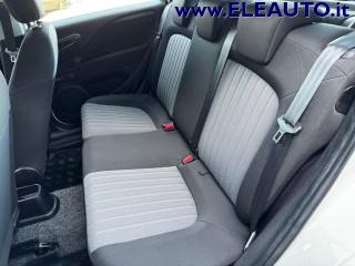 FIAT Punto usata 13
