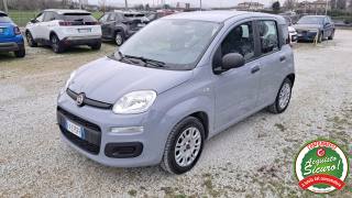 FIAT Panda 1.2 EasyPower Easy