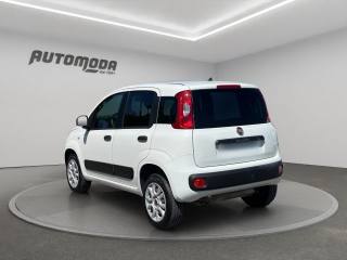 FIAT Panda usata, con Controllo trazione