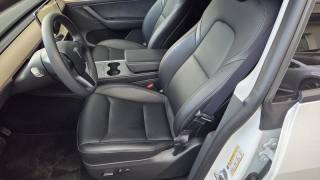 TESLA Model Y usata, con Sedili riscaldati