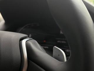 BMW X4 usata, con Vetri oscurati