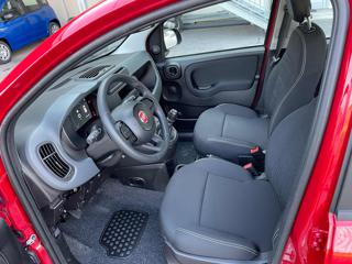 FIAT Panda usata, con Servosterzo