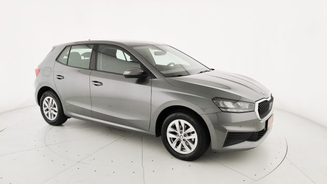SKODA Fabia usata, con Specchietti laterali elettrici