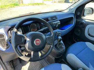 FIAT Panda usata, con ESP