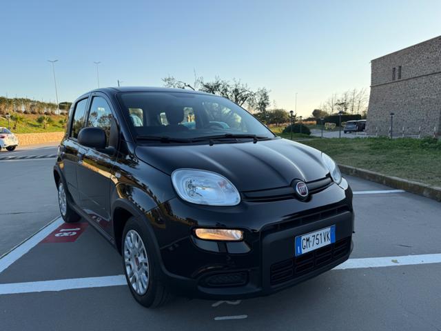 FIAT Panda usata 31