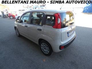 FIAT Panda usata, con Chiusura centralizzata