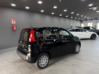 FIAT Pandina usata, con Kit antipanne
