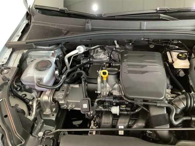 SKODA Fabia usata, con Airbag testa