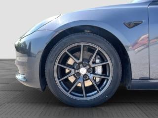 TESLA Model 3 usata 16
