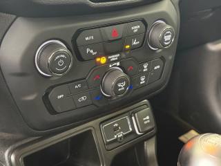 JEEP Renegade usata, con Riconoscimento dei segnali stradali