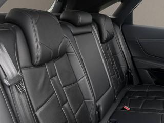 DS AUTOMOBILES DS 7 usata, con Controllo trazione