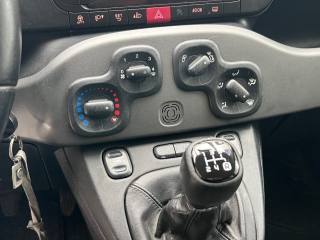 FIAT Panda usata, con Cronologia tagliandi