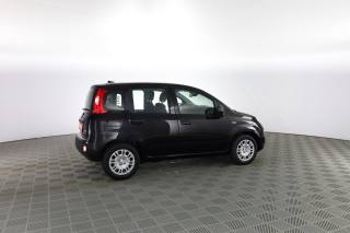 FIAT Panda usata 2