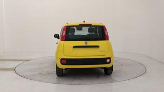 FIAT Panda usata, con Airbag Passeggero